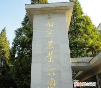 南京农业大学怎么样，南京农业大学环境怎么样看它在郊区阿