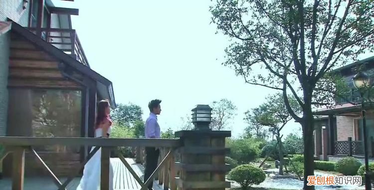 盛夏晚晴天津帆是怎样的人