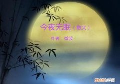 今夜无眠表达了什么意思