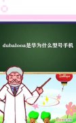 dubalooa是华为什么型号手机