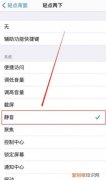 苹果手机拍照声音关不掉怎么回事