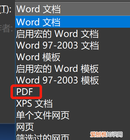 word怎么才可以转换为pdf