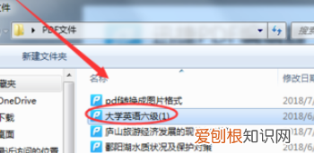 pdf怎样才可以插入，pdf文件是什么意思