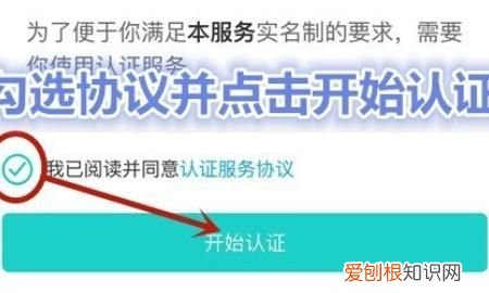 支付宝在哪里查结婚证，支付宝可以领取电子结婚证了在哪里查看