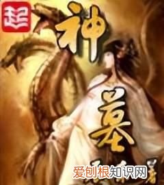 白金大神辰东为什么更新这么慢,大神辰东