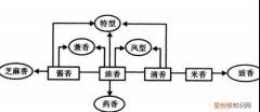 酒的香型分类五大香型，酒吧里有那些酒哪些酒最好喝哪些酒最贵