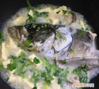 鱼头豆腐汤用什么鱼头，鱼头豆腐汤一般用什么鱼头