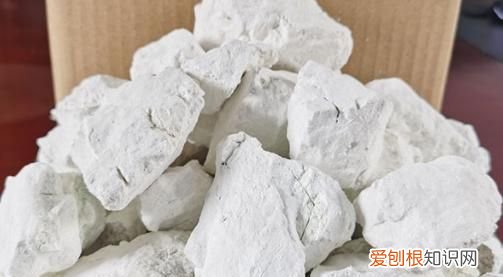 石灰粉能撒菜叶上，石灰可以撒在菜叶上吗