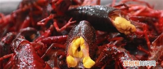 小龙虾的虾黄到底能不能食用