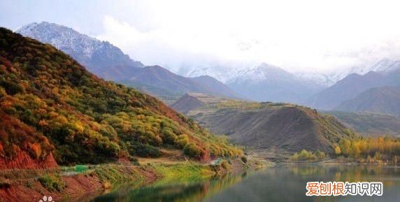 青海省海东市乐都区规划详图,青海海东乐都南站