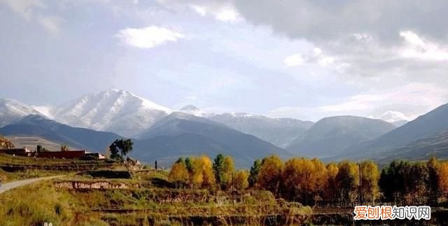 青海省海东市乐都区规划详图,青海海东乐都南站