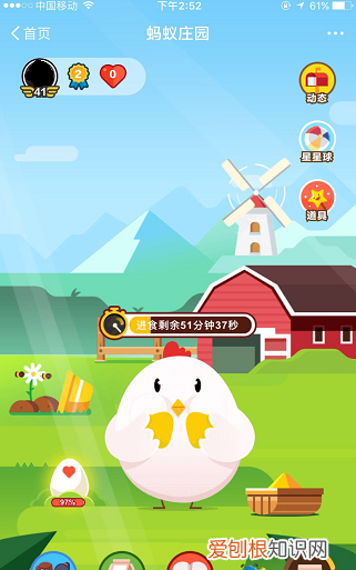 蚂蚁庄园小鸡怎么才可以抢食，支付宝蚂蚁庄园怎么去别人家吃饲料