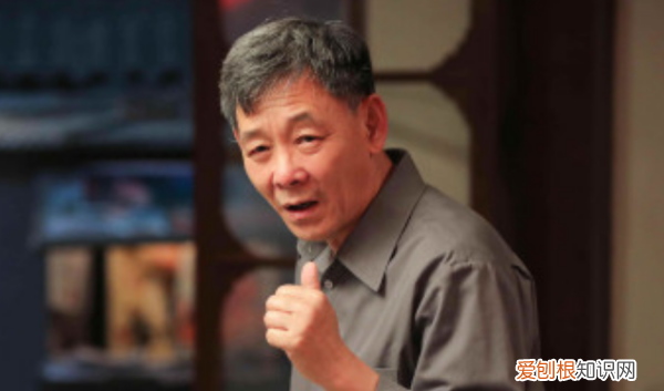 何雨柱哪个电视剧，傻柱是什么电视剧里的人物