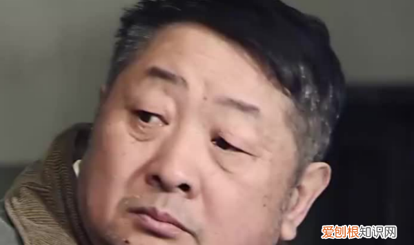 何雨柱哪个电视剧，傻柱是什么电视剧里的人物