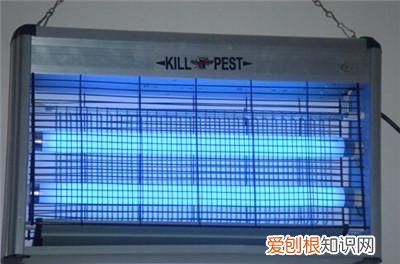 实用的电子灭蚊,灭蝇,灭虫灯电路讲解