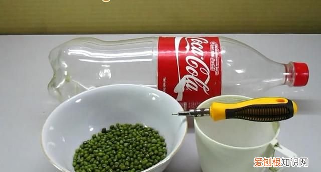 饮料瓶种青菜教程 饮料瓶可以二次种青菜吗