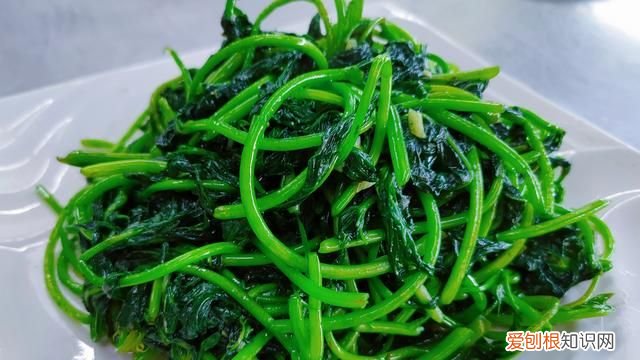 饮料瓶种青菜教程 饮料瓶可以二次种青菜吗