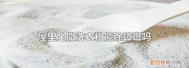 屋里全撒洗衣粉能除蟑螂吗,大蒜和洗衣粉混合能杀蟑螂