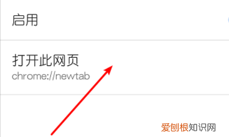谷歌怎么设置主页网址，谷歌浏览器的主页怎样才可以设置