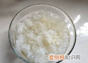 白木耳不泡可以直接煮吗，白木耳为什么煮不烂怎么才能煮烂