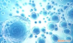 每天早上吃两个煮鸡蛋会有什么坏处