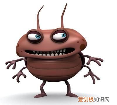 灭蟑螂的小妙招，餐馆怎么灭蟑螂最安全饭店灭蟑螂有什么小妙招