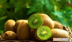 猕猴桃放冰箱还是外面