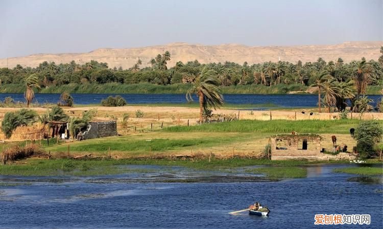 什么被称为埃及的母亲河