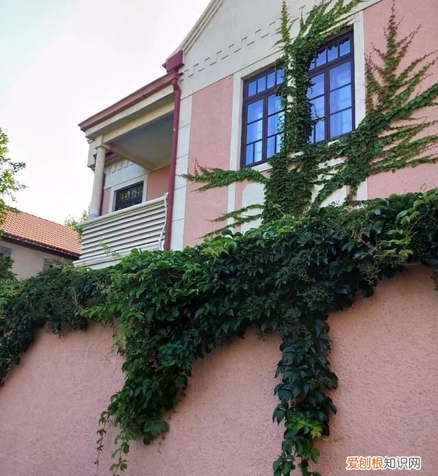 仙境海岸旅游推介