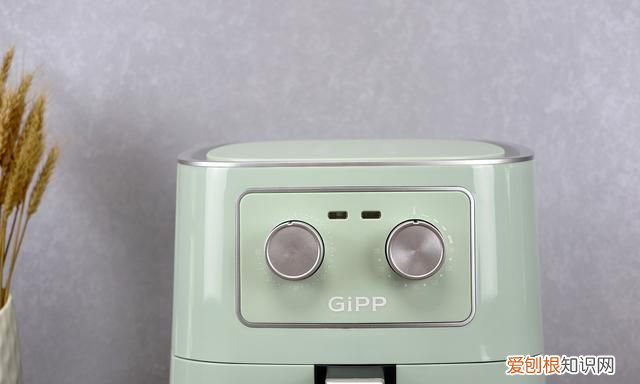 gipp多功能空气炸锅45升 居派空气炸锅测评