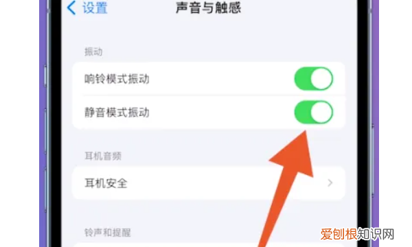 苹果手机调静音怎么调，苹果手机怎么调成静音模式还有声音