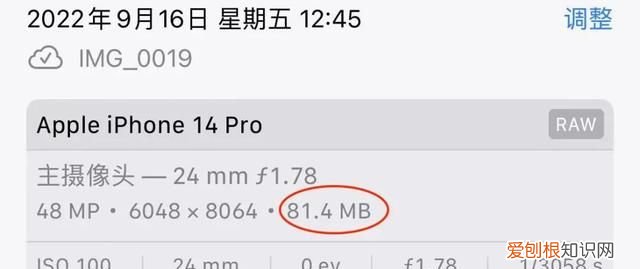 iphone14pro的灵动岛不显示信息