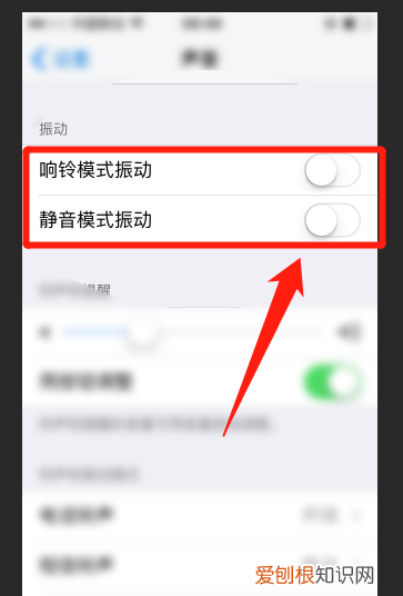 苹果怎么设置静音模式不带震动