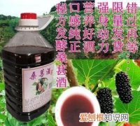 10斤桑葚可以下多少酒，100克桑葚干可泡多少酒