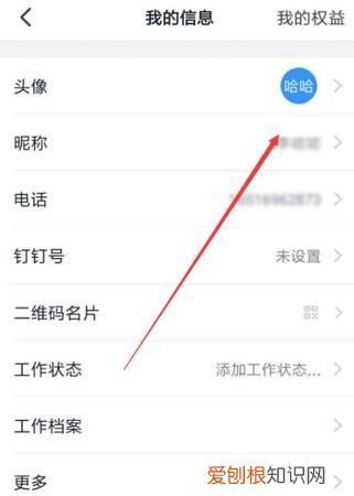 钉钉师生群昵称无法修改的原因