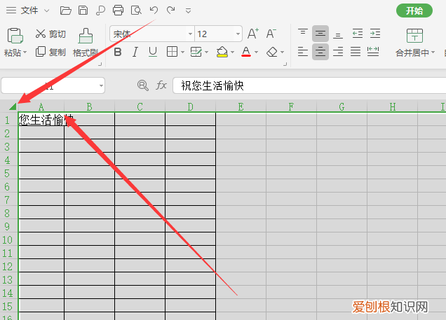 为什么表格里的文字没有全显出来