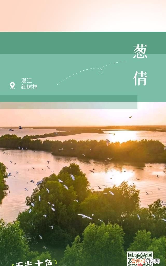 周末游广东出发