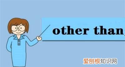 材质others是什么意思，衣服others是什么材质