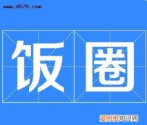 饭圈lsh是什么意思