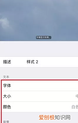 苹果字体在哪换，苹果怎么换字体