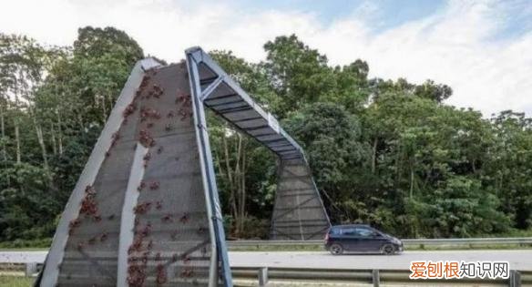 130多万美元的“黄金厕纸”含有22k黄金？