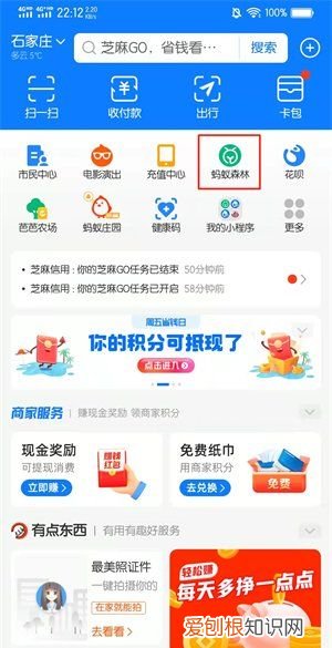 蚂蚁森林该怎么样浇水，蚂蚁森林公益林浇水有什么用