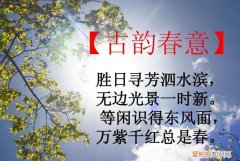 胜日寻芳泗水滨的下一句是什么