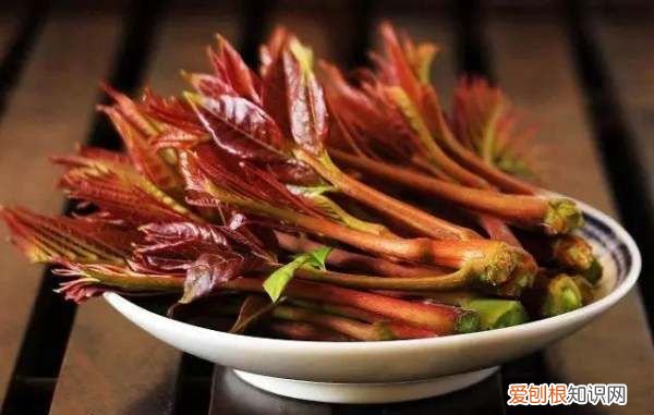 红香椿有什么功效，香椿为什么有红的有绿的