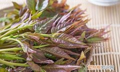 红香椿有什么功效，香椿为什么有红的有绿的