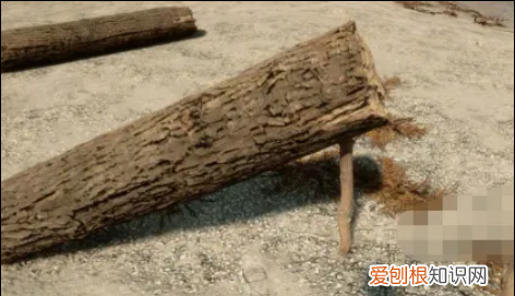 森林木棍能刷吗,森林:木棍如如何获取的