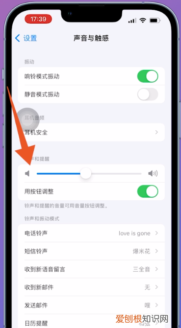 苹果手机怎么静音，苹果手机怎么调静音模式