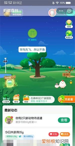 蚂蚁森林咋浇水，蚂蚁森林怎么浇水1000