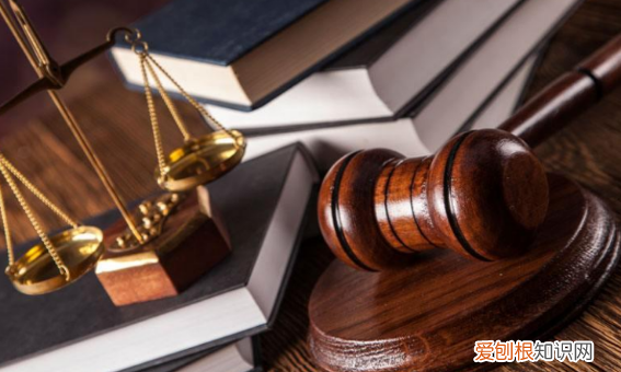 理科生能报法学专业，学理科可以报法学吗