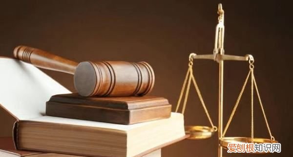 理科生能报法学专业，学理科可以报法学吗